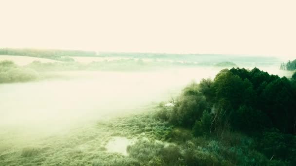Misty lagoa de manhã, vista aérea — Vídeo de Stock