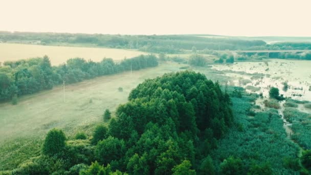 Misty pond in the morning, air view — стоковое видео