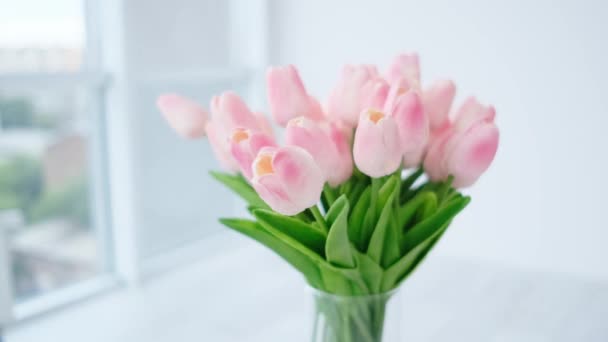 Pink tulips in vase — Stock Video