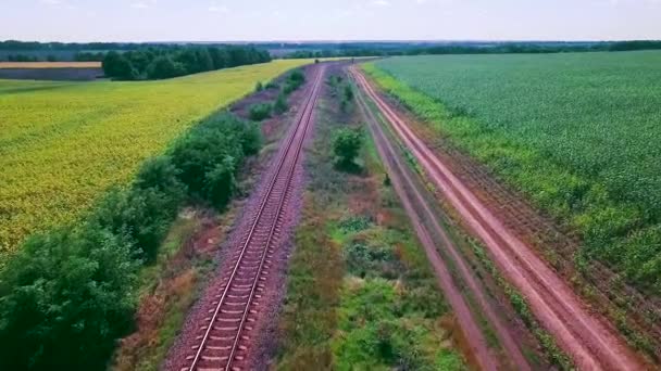 Ferrocarril entre campos — Vídeo de stock