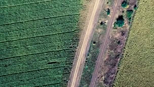 Railroad between fields — Stock Video