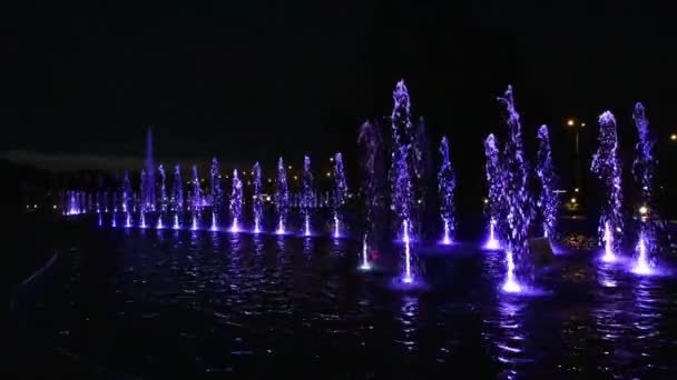 Night fountain show — Stock Video