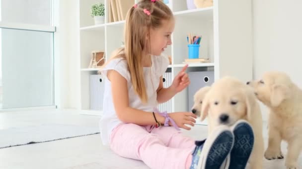 Маленькая девочка играет с щенками — стоковое видео