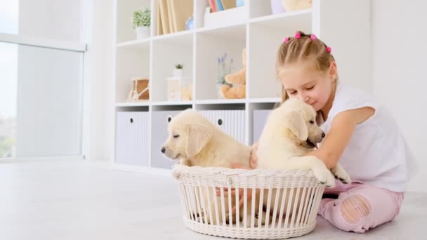 Happy girl mając wielki czas ze szczeniakami — Wideo stockowe