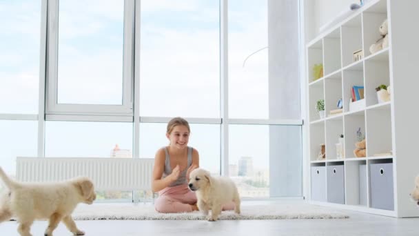 Klatschendes Mädchen im Zimmer voller Welpen — Stockvideo