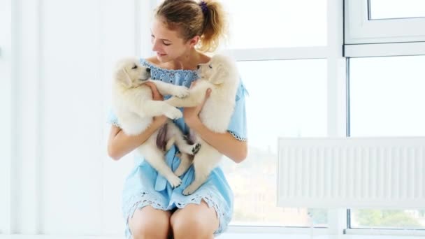 Девочка обнимает милых щенков — стоковое видео