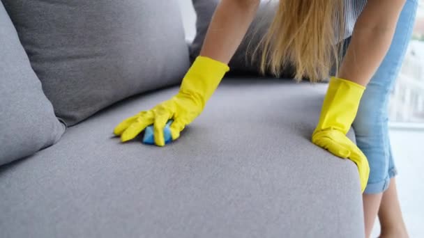 Girl is wiping sofa with sponge — Stock Video