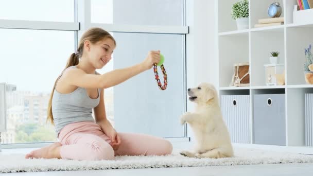 Bella ragazza proponendo giocattolo per cucciolo — Video Stock