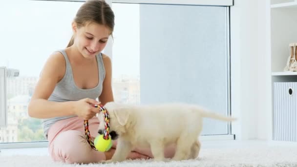 Mainan anjing untuk anjing — Stok Video