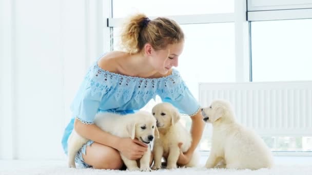 Adorable puppies around happy girl — 비디오