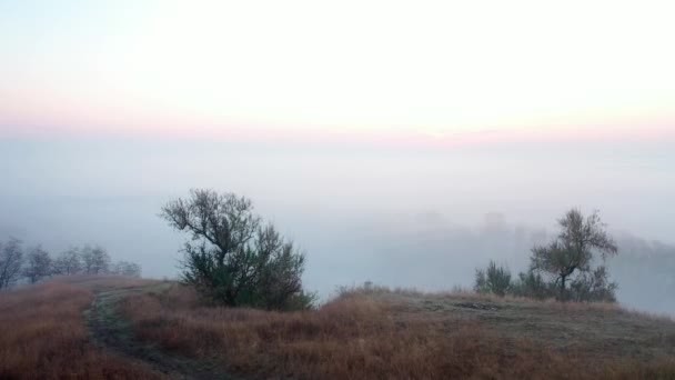 Mlha nad řekou na podzim — Stock video
