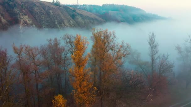 Paesaggio sotto la nebbia autunnale — Video Stock