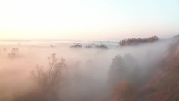 Kabut di atas sungai di musim gugur — Stok Video