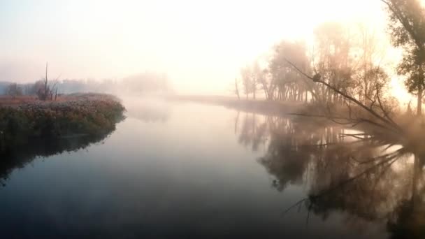 Fluss mit Morgennebel bedeckt — Stockvideo