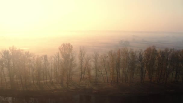 Nevoeiro leitoso no vale do outono — Vídeo de Stock