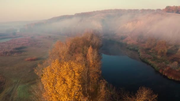 Slunečné ráno v zamlženém údolí — Stock video