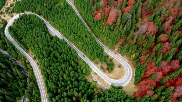 Panoramic view of Transfagarasan road — Stock Video