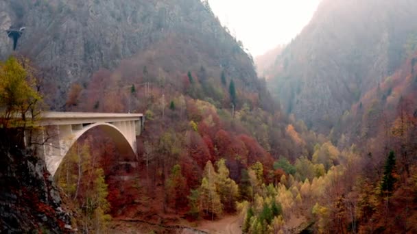 Road with bridge — Stock Video
