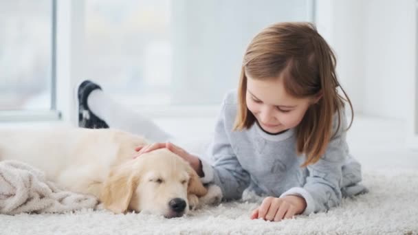 女の子と子犬 — ストック動画