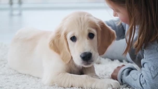 Küçük kız tarafından okşanan köpek yavrusu. — Stok video