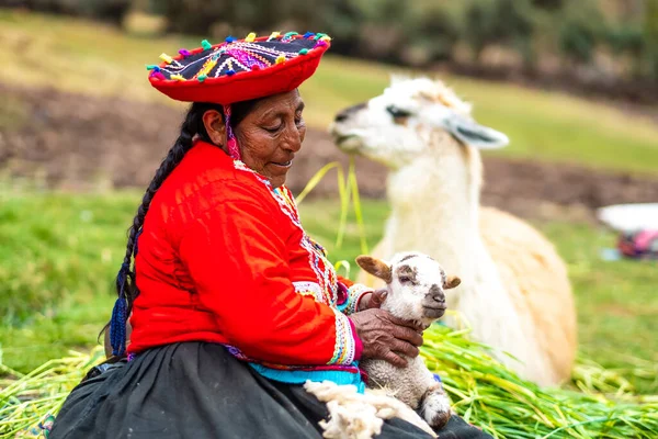 Vrouw met lammetjes in Peru — Stockfoto