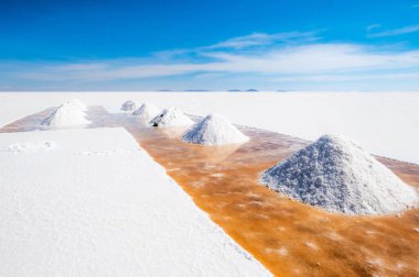 Salar de Uyuni adam kürek sault bankalar