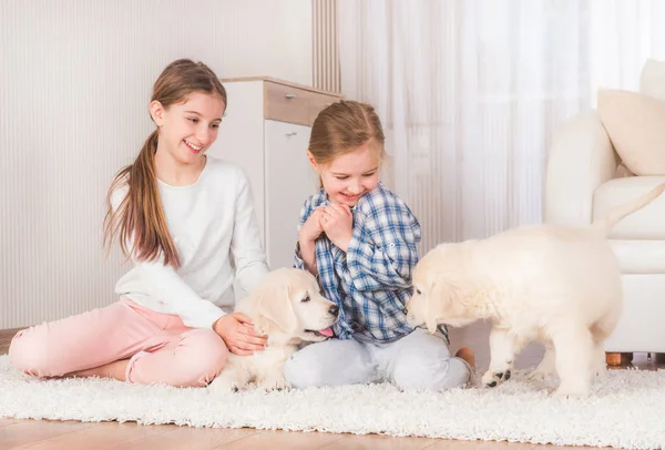 Irmãs sorridentes sentadas com filhotes retriever — Fotografia de Stock