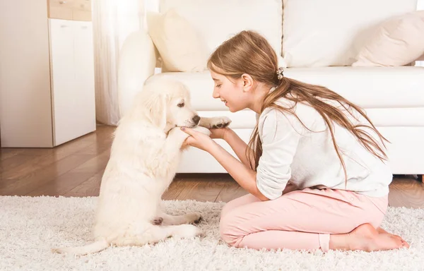 Fille jouer avec récupérateur chiot — Photo