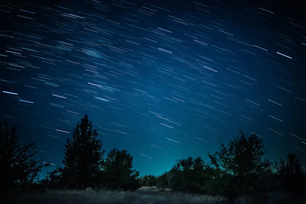 Startrails boven donker bos — Stockfoto