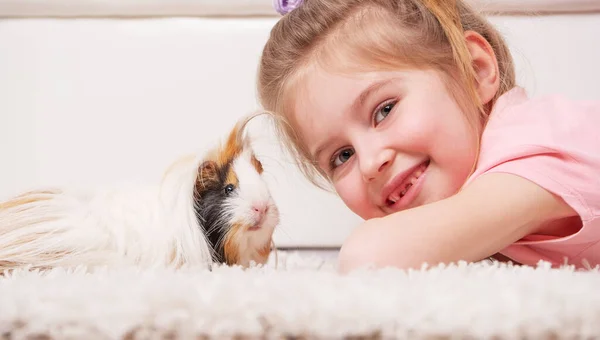 Kid holding guinea pig in hands — Stock Photo, Image