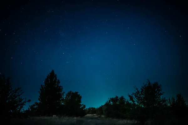 暗い森の上の星の道 — ストック写真