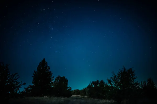 Startrails sobre bosque oscuro — Foto de Stock