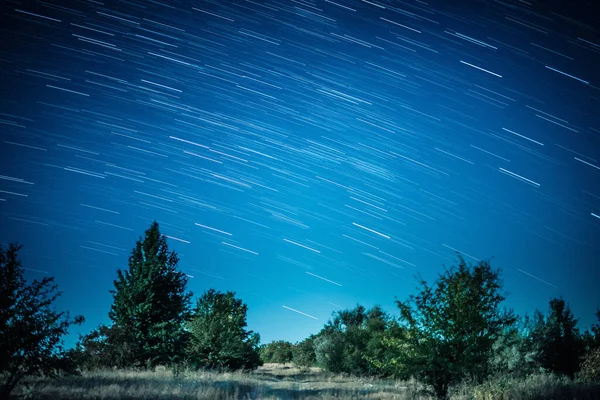 Startrails boven donker bos — Stockfoto