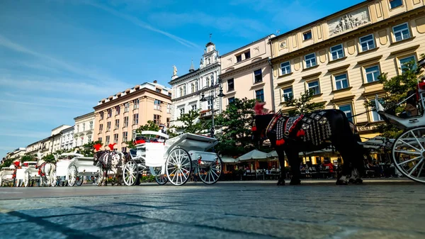 Paard en wagen op het hoofdplein in Krakau, Polen — Stockfoto