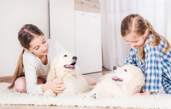 Systrar stroking retriever valpar — Stockfoto