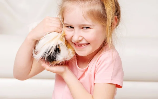 Kind hat Spaß mit Meerschweinchen — Stockfoto