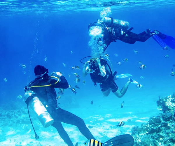 Buceador nadando bajo el agua con arrecifes de coral — Foto de Stock
