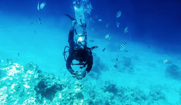 Mergulhador nadando subaquático com recifes de coral — Fotografia de Stock