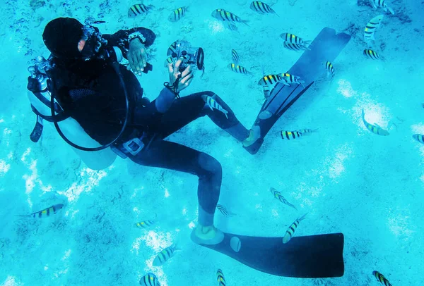 Buceador nadando bajo el agua con arrecifes de coral — Foto de Stock