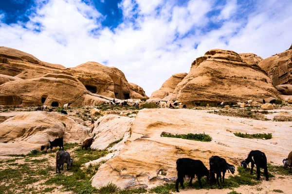 Arid badlands in Jordanië — Stockfoto