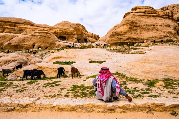 요르단 의원 주민들 이사는 풍경 — 스톡 사진