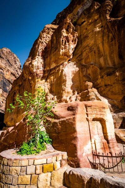 悬崖上的绿色风景 — 图库照片