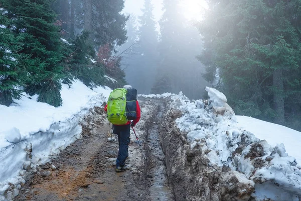 Senderistas atravesando bosque nevado de montaña — Foto de Stock