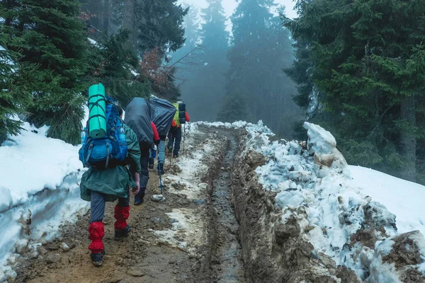 Senderistas atravesando bosque nevado de montaña — Foto de Stock