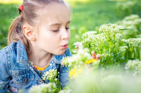 Liten flicka blåsa maskros. — Stockfoto