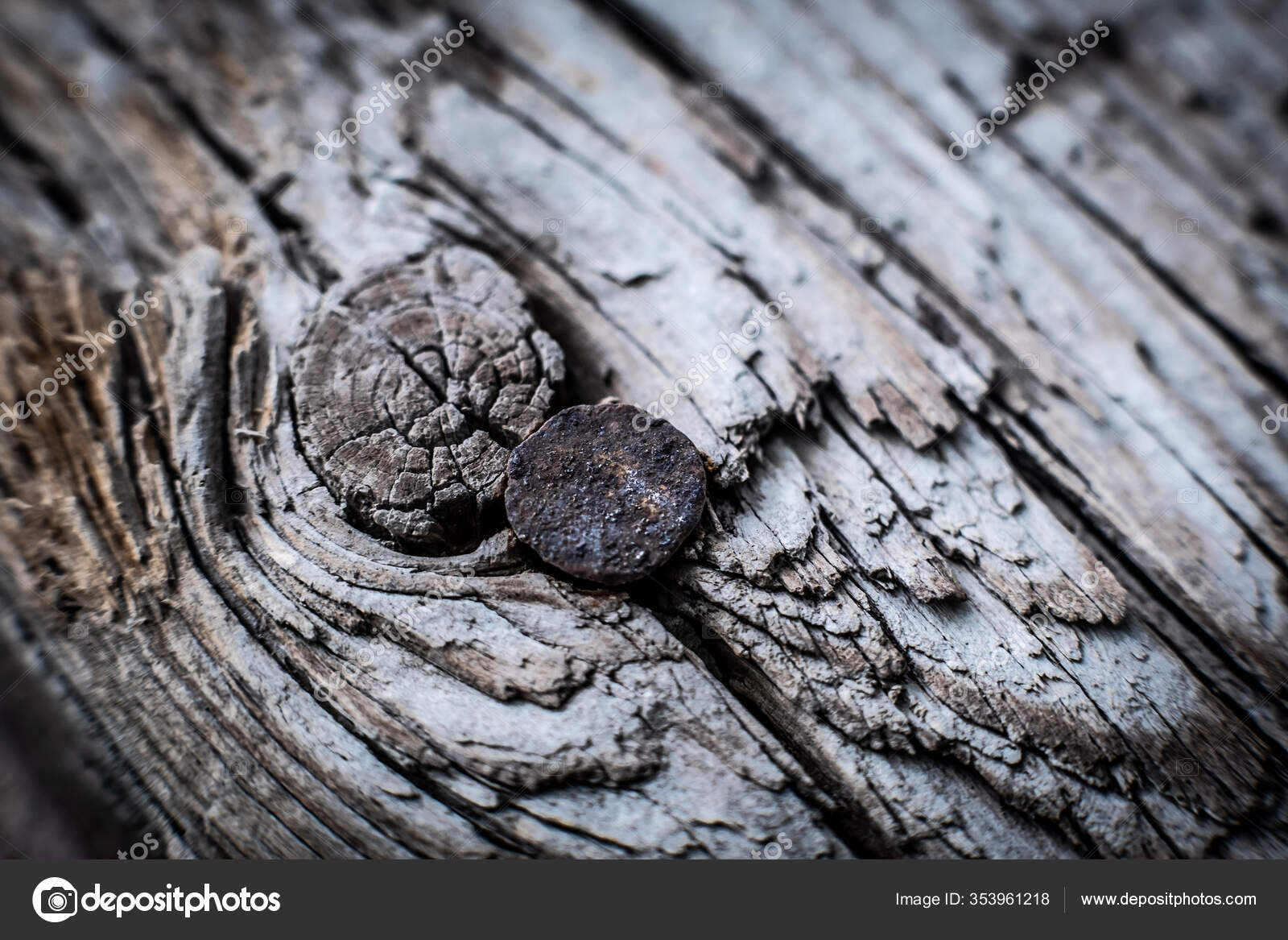 Cuadro de madera vieja con clavos — Foto de stock © GekaSkr #353961218