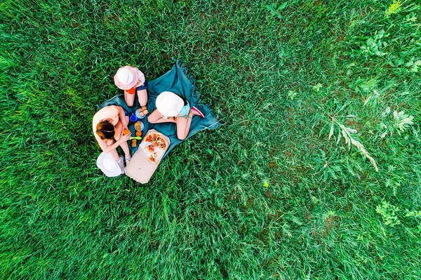 Piquenique com pizza em uma grama verde — Fotografia de Stock