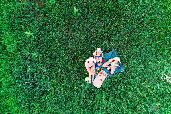 Picnic with pizza on a green grass — Stock Photo, Image