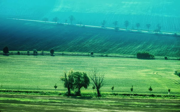Campos verdes paisagem rural — Fotografia de Stock