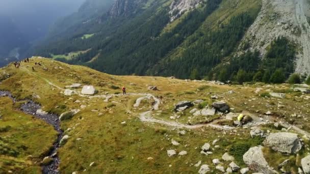 A turisták az alpesi csúcsra tartanak — Stock videók